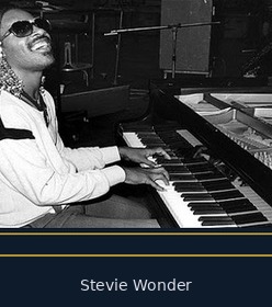 Stevie Wonder